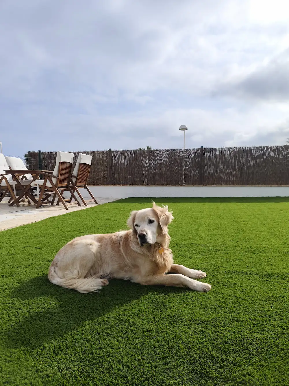 Artificial grass installation for homes and businesses in Villena